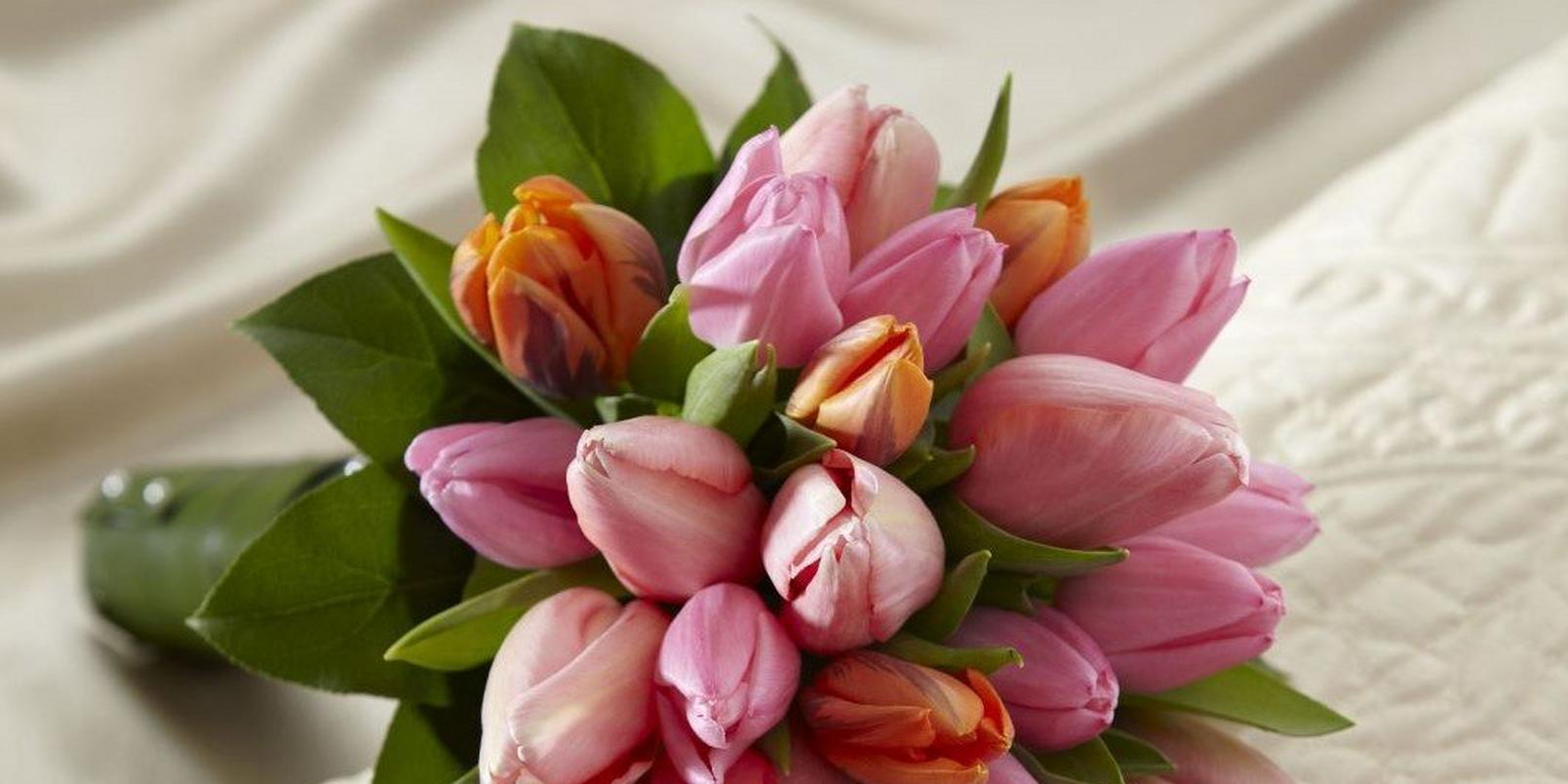 Tulip-wedding