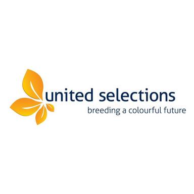 UnitedSelections_SQUARE