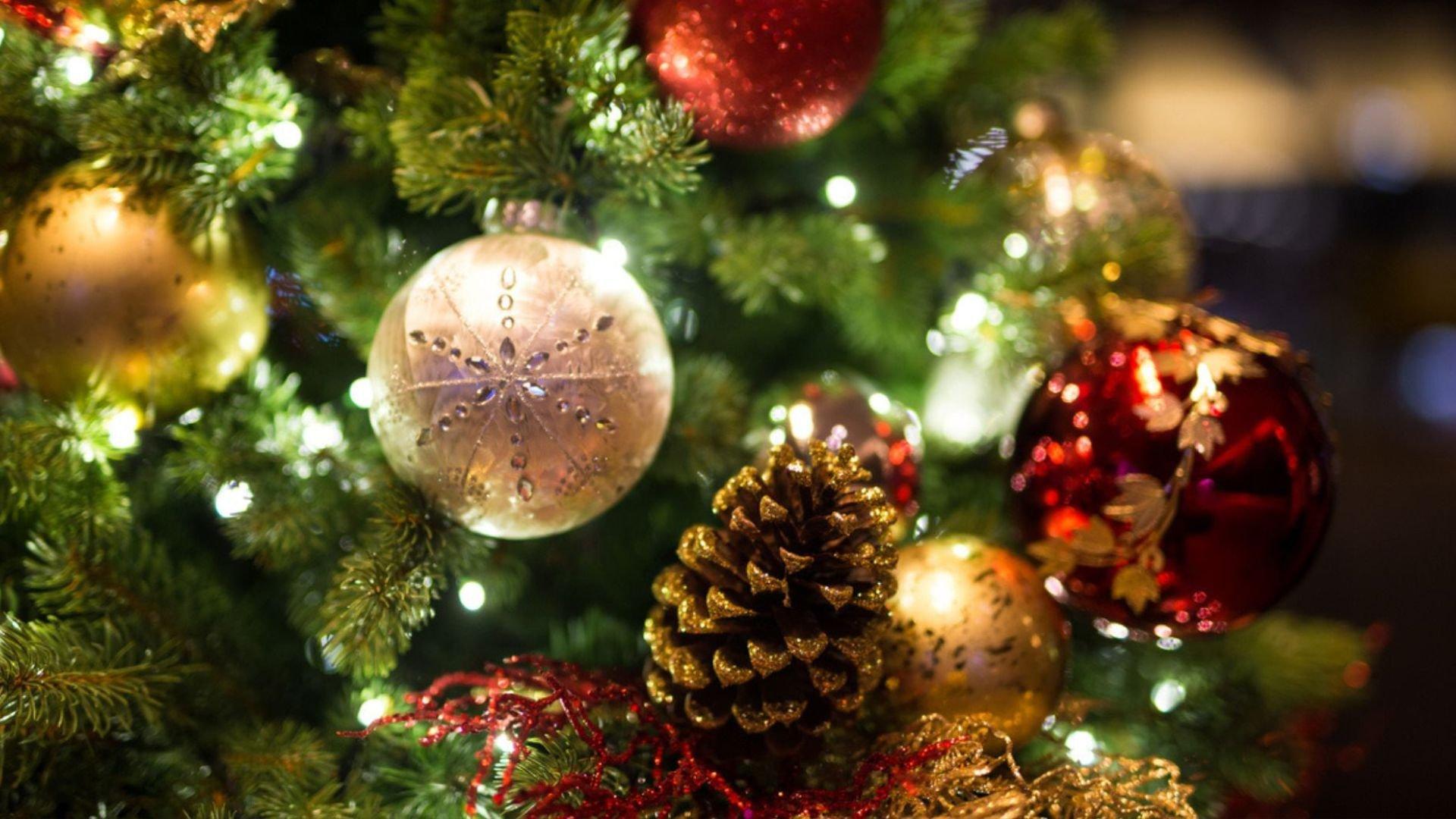 Untitled design (71)