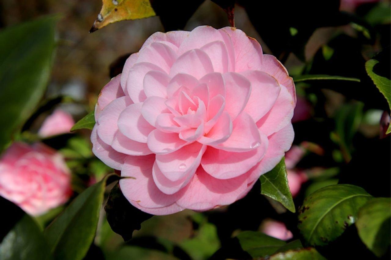 Untitled design (79)_1