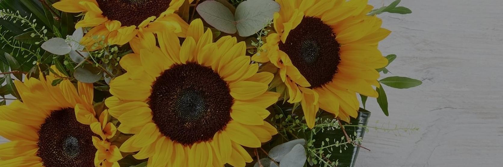 Untitled-design-4-sunflowers