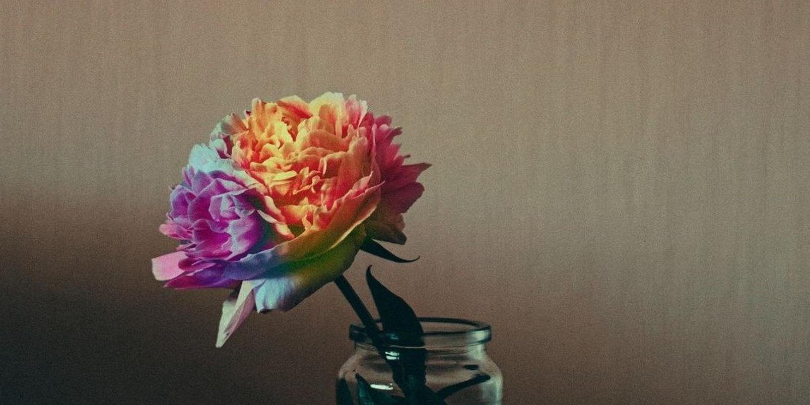 Untitled-design-42-muted-rainbow-carnation