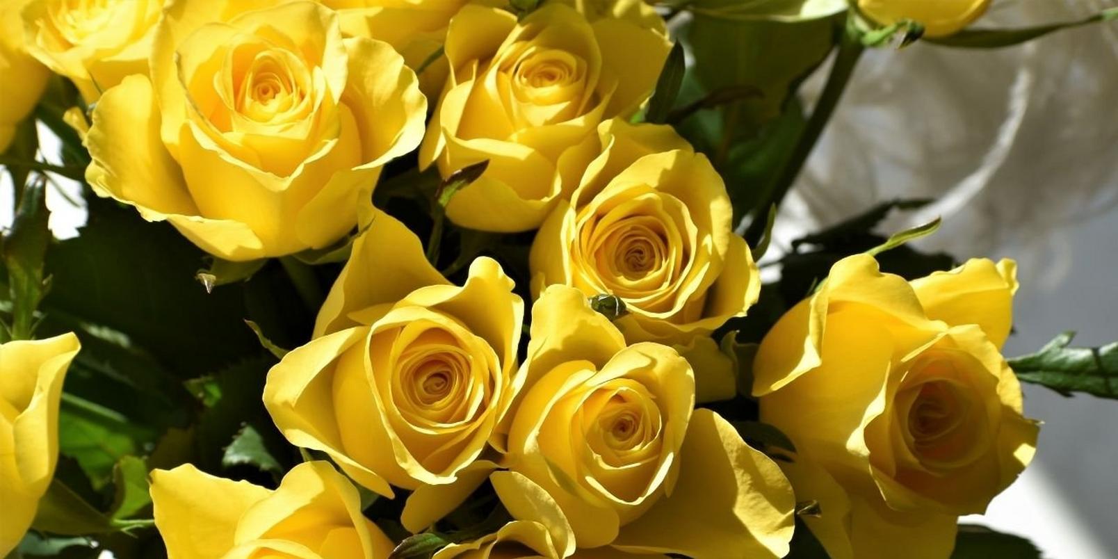 Untitled-design-92-yellow-rose