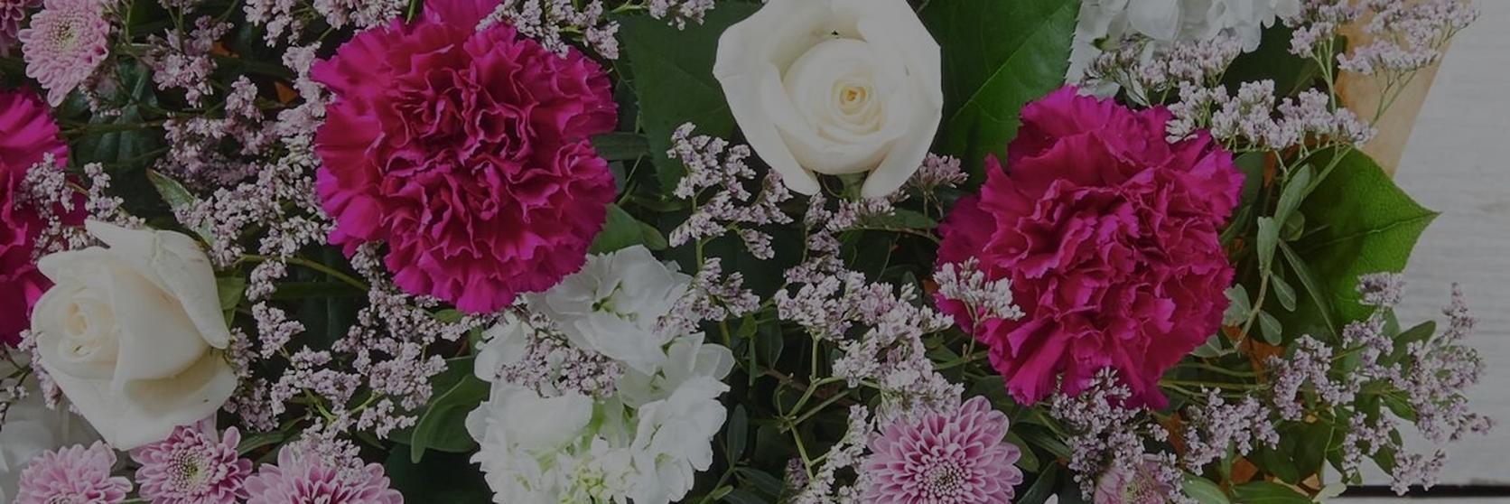 Untitled-design-white-and-pink
