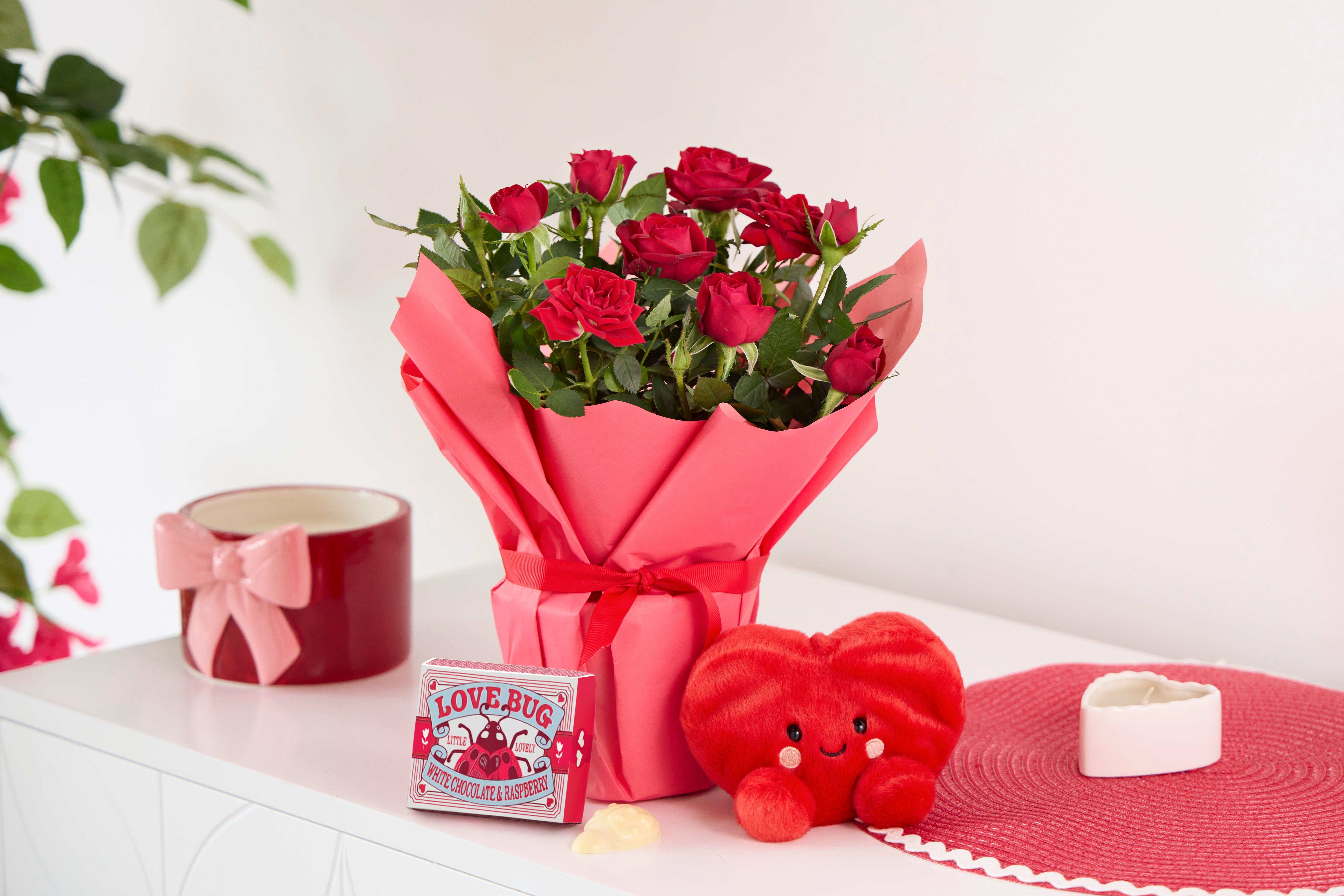 V42291PB-1(NEW CHOCS)