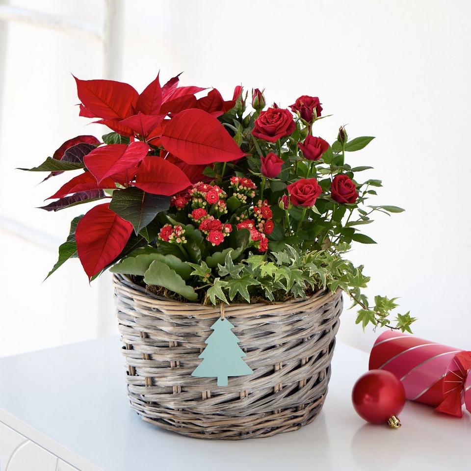 A Basket of Christmas Joy