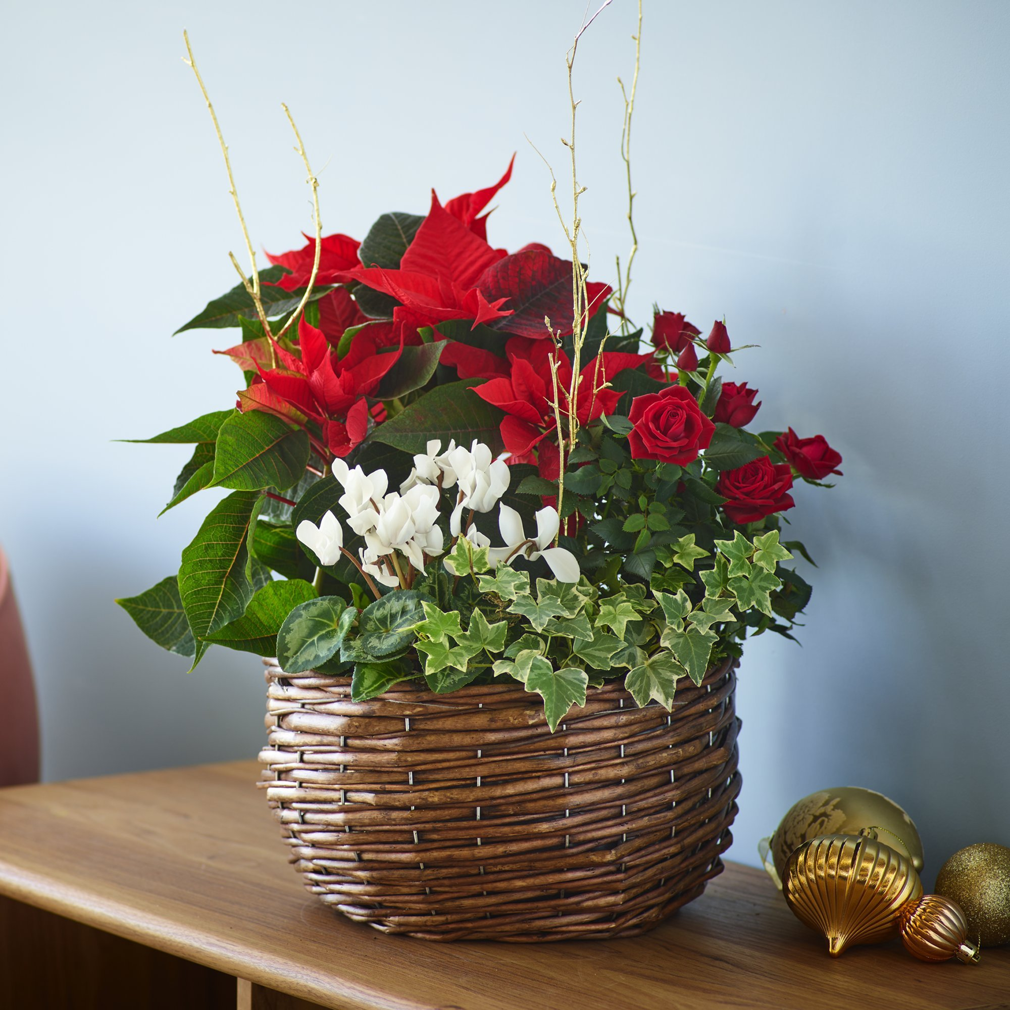 christmas plant basket delivery