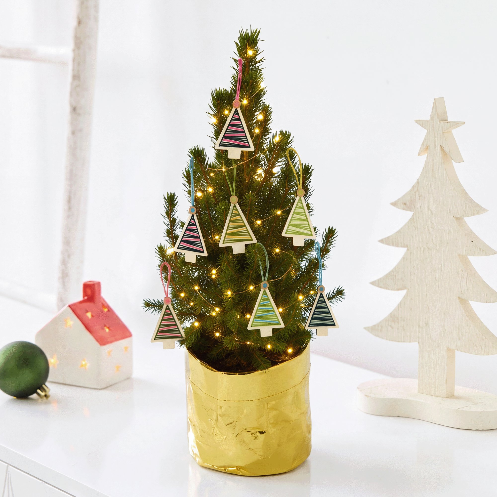 Magical Mini Tree