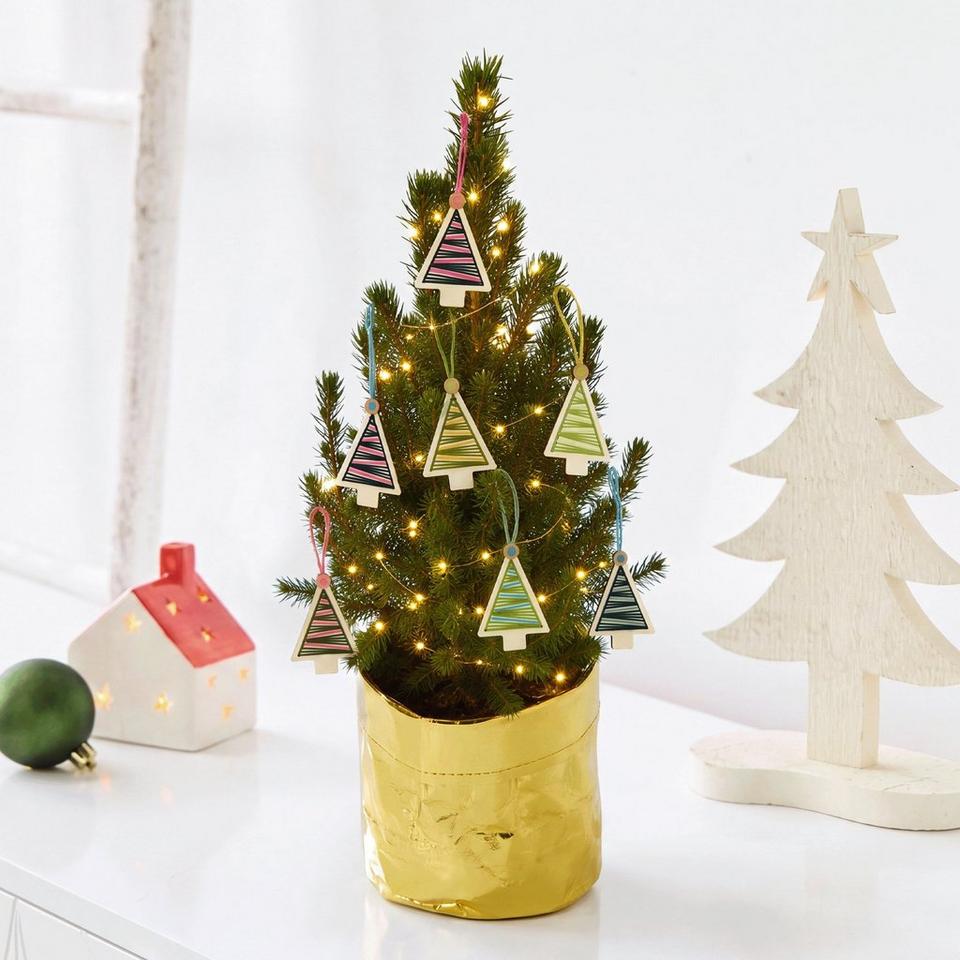 The Magical Mini Tree