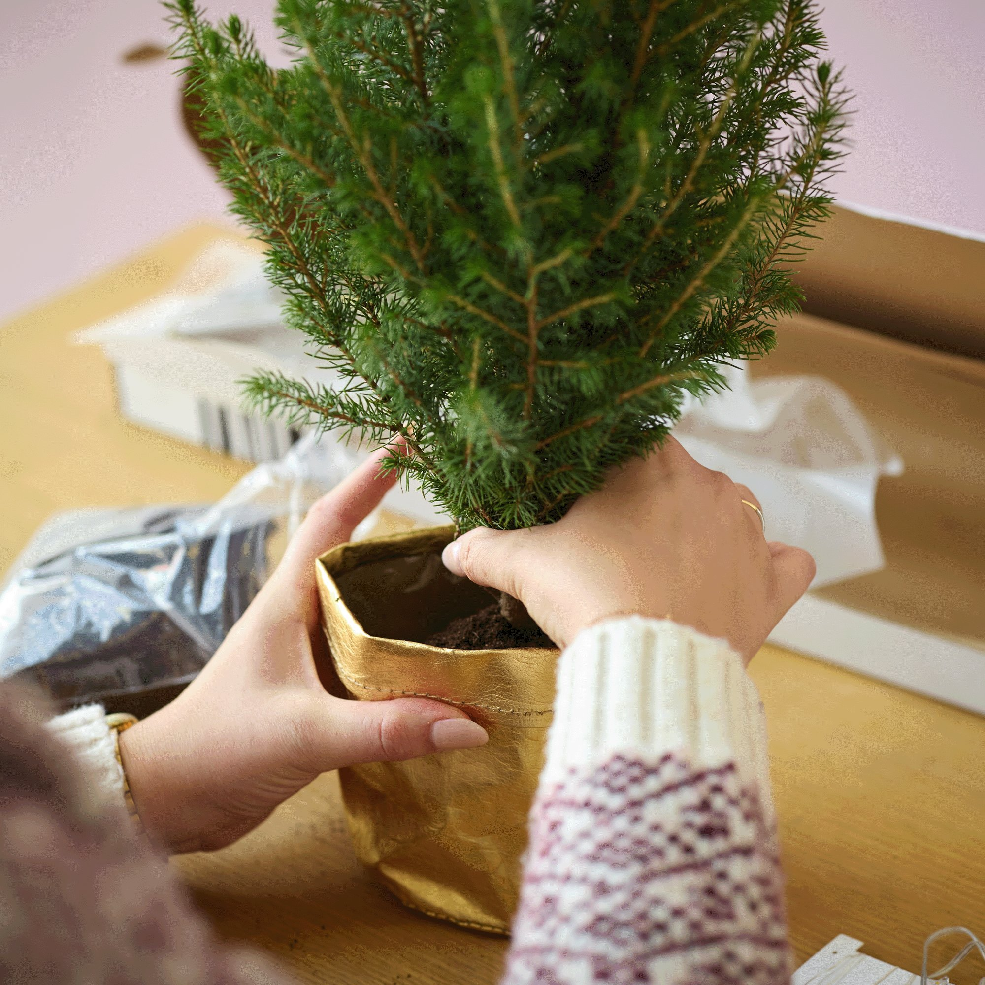 Pop into the gold festive pot cover