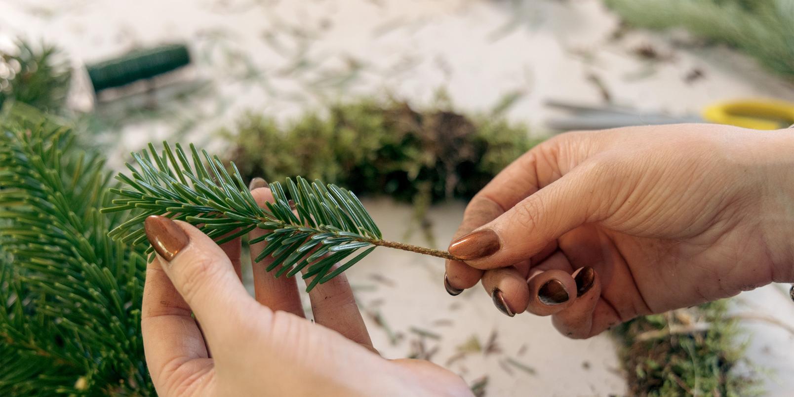 adding_spruce_to_wreath