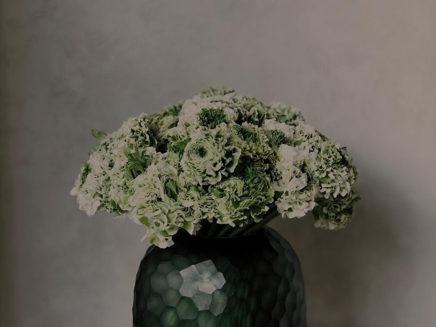arrangement-green-vase-green-flowers