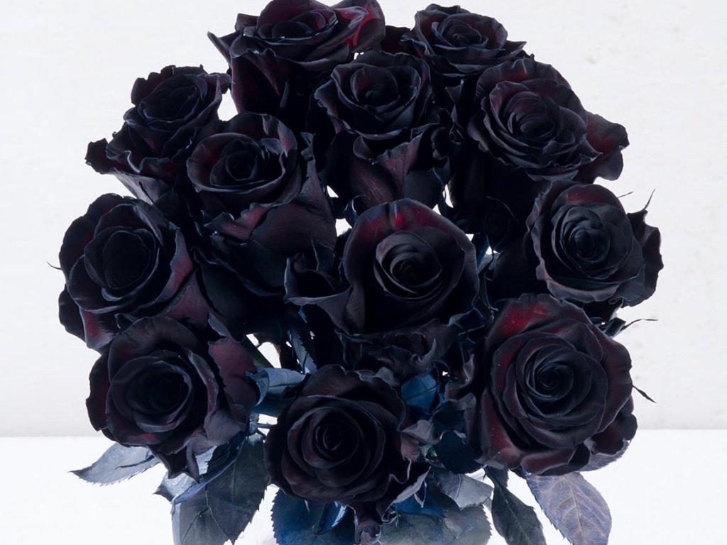 10 Types of Black Flowers 