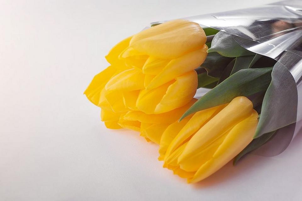 bouquet-canva-tulips-yellow