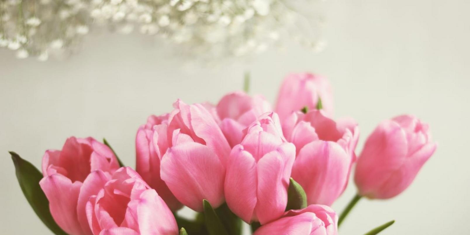 bouquet-tulips-pink-flowers