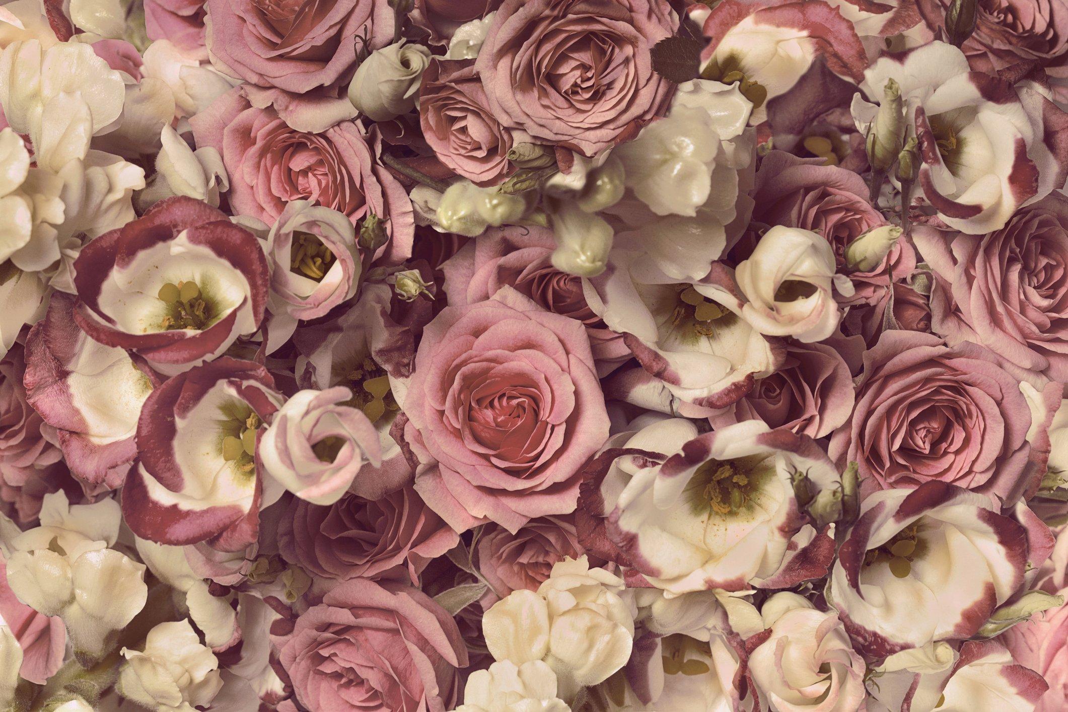 brown-lisianthus-flowers