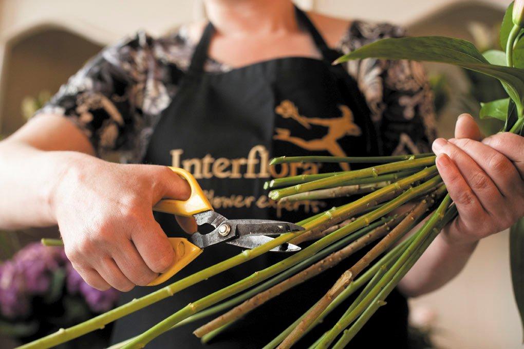 caring-for-your-gift