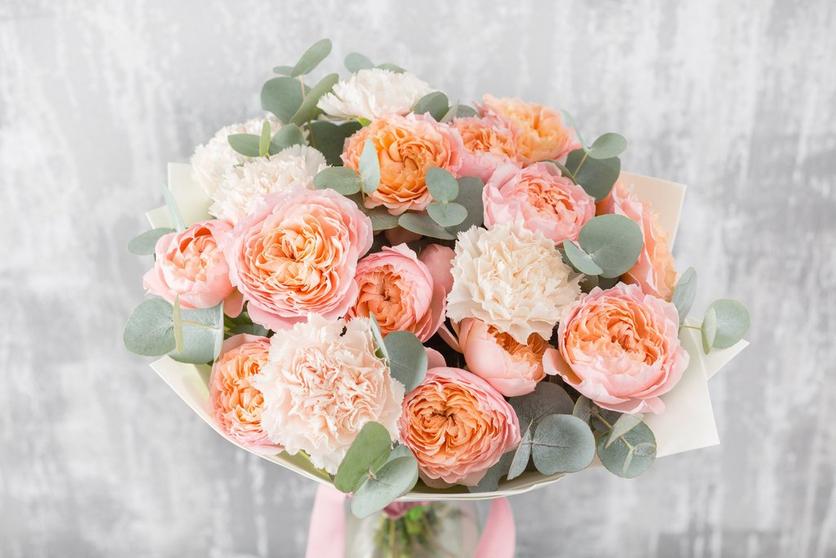 carnation-pastel-peach-flowers