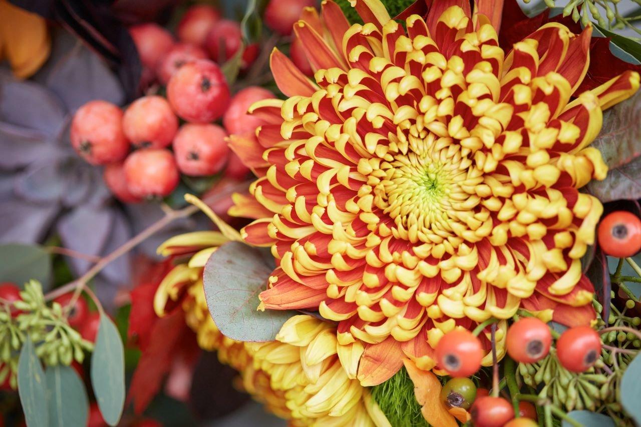 11 of The Most Stunning Autumn Flowers Interflora