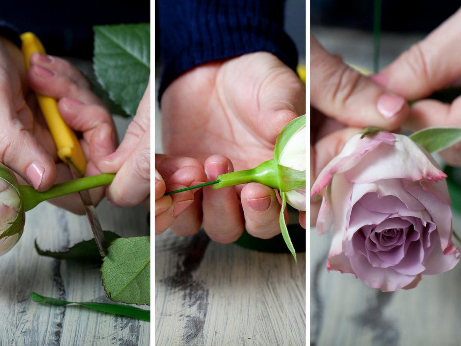 cutting-stem-rose-corsage