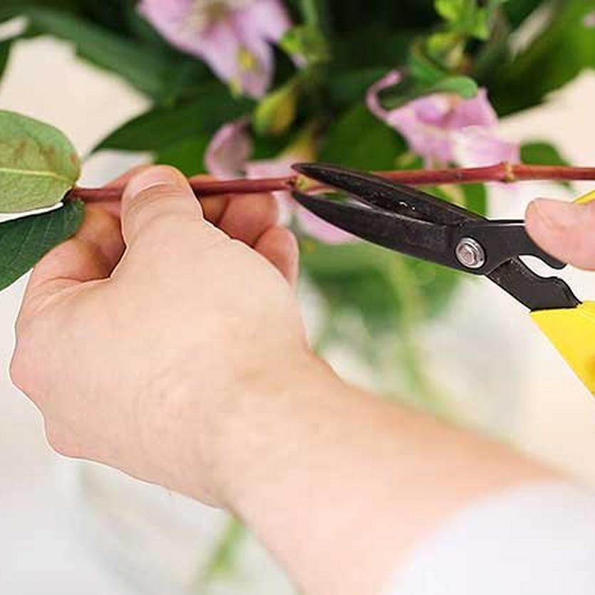 cutting-stems-with-scissors