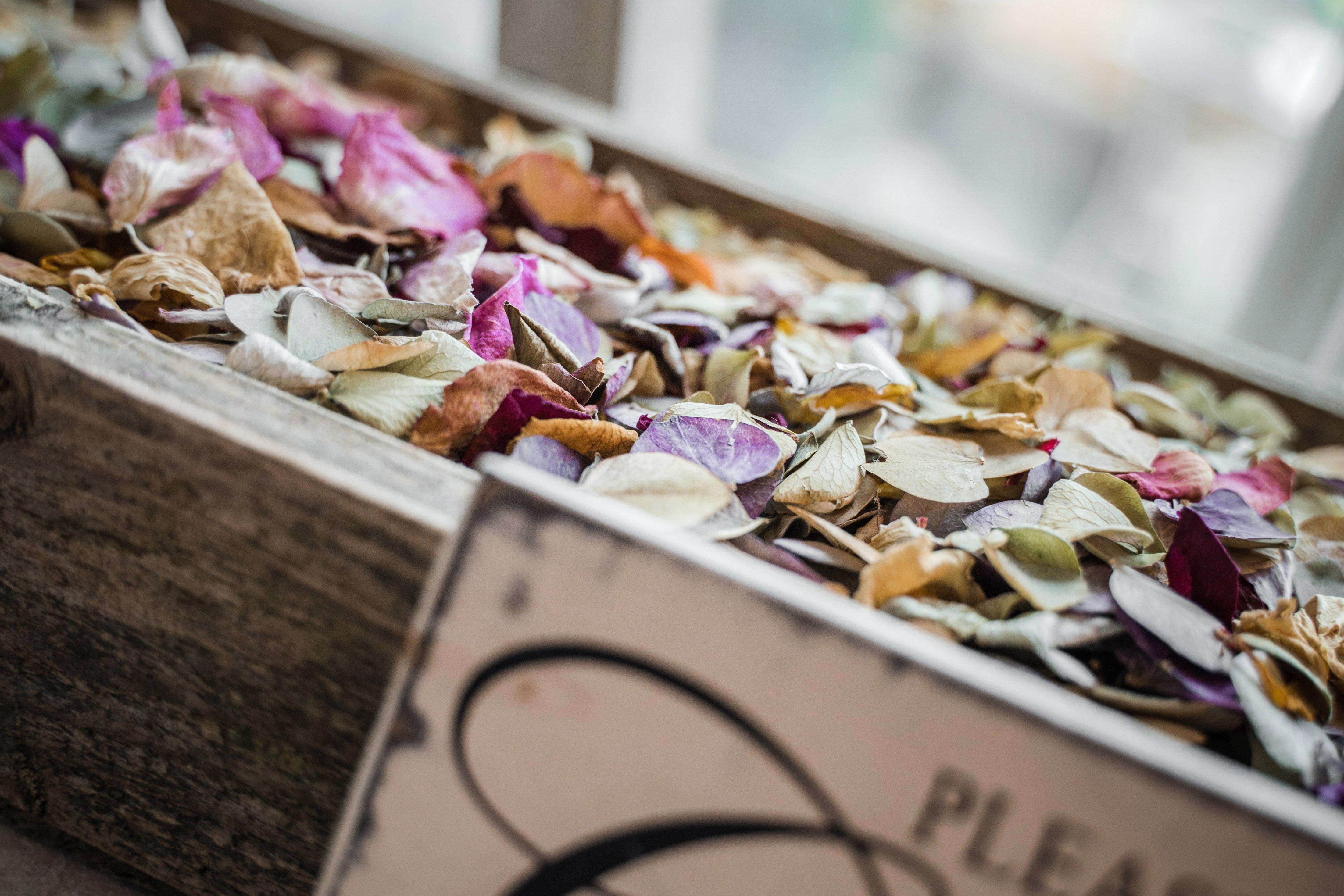 dried-petals-in-box