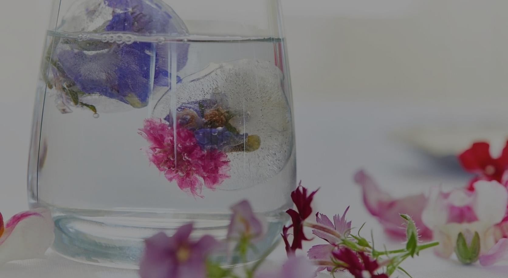 floral-ice-cubes-in-glass