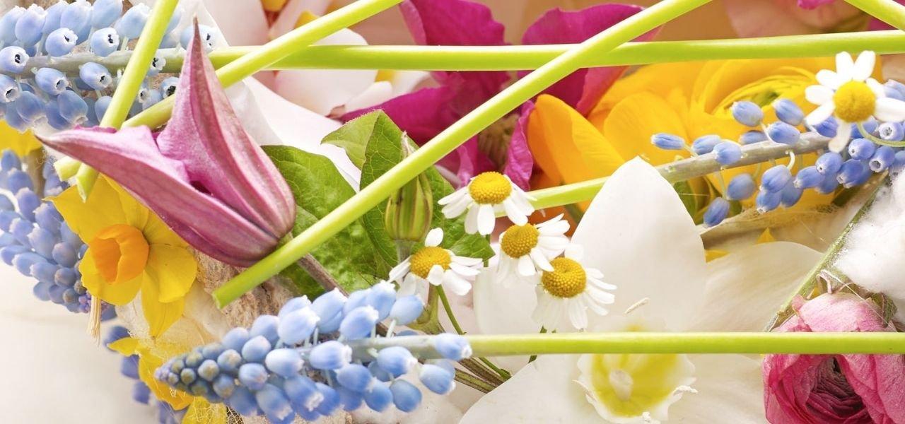 flowers-blue-yellow-purple-spring