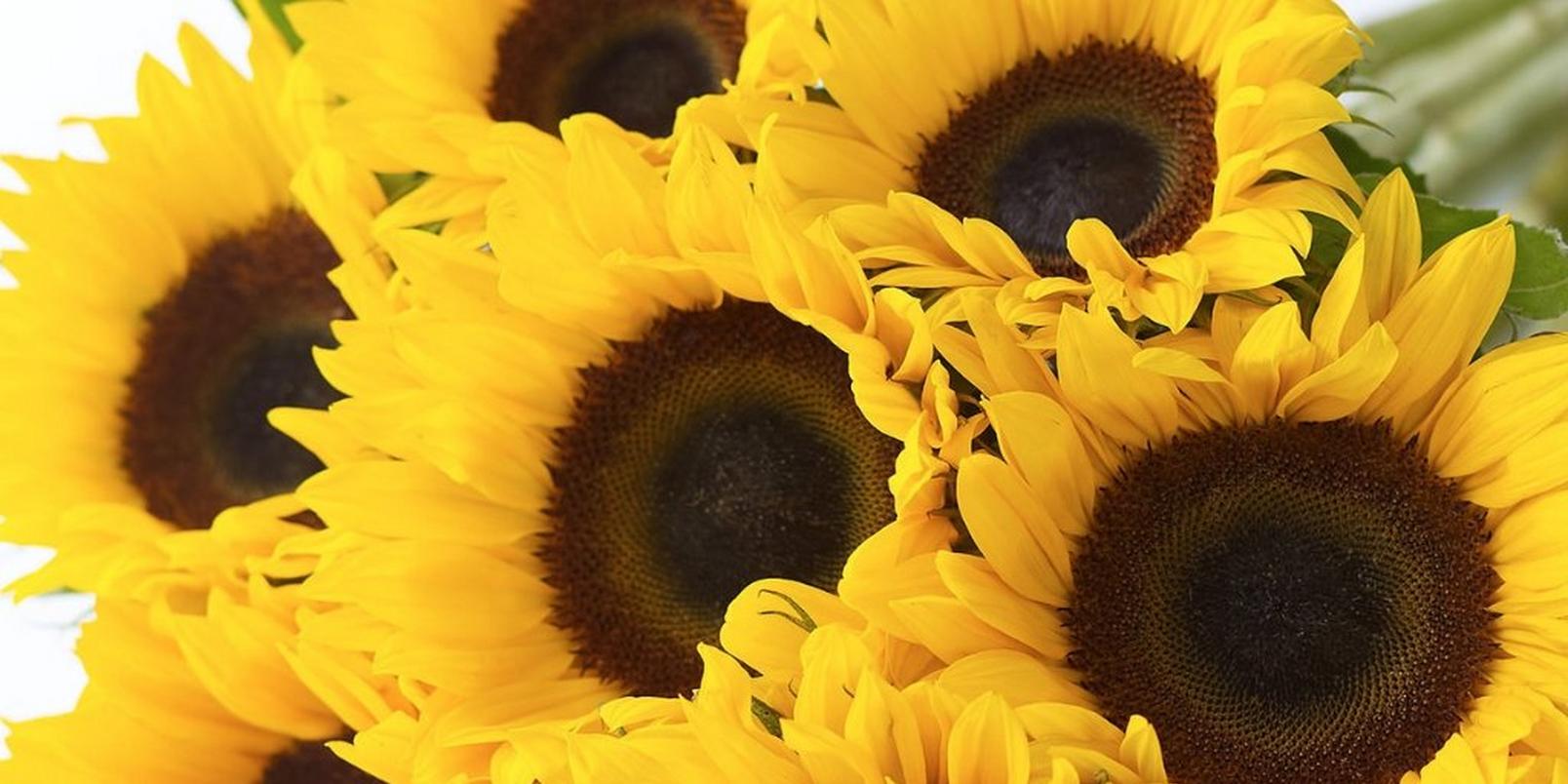 flowers-to-match-your-style-3