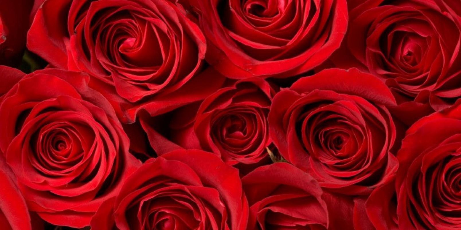 flowers-to-match-your-style-4
