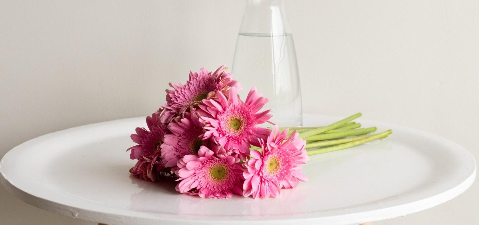gebera-pink-bouquet