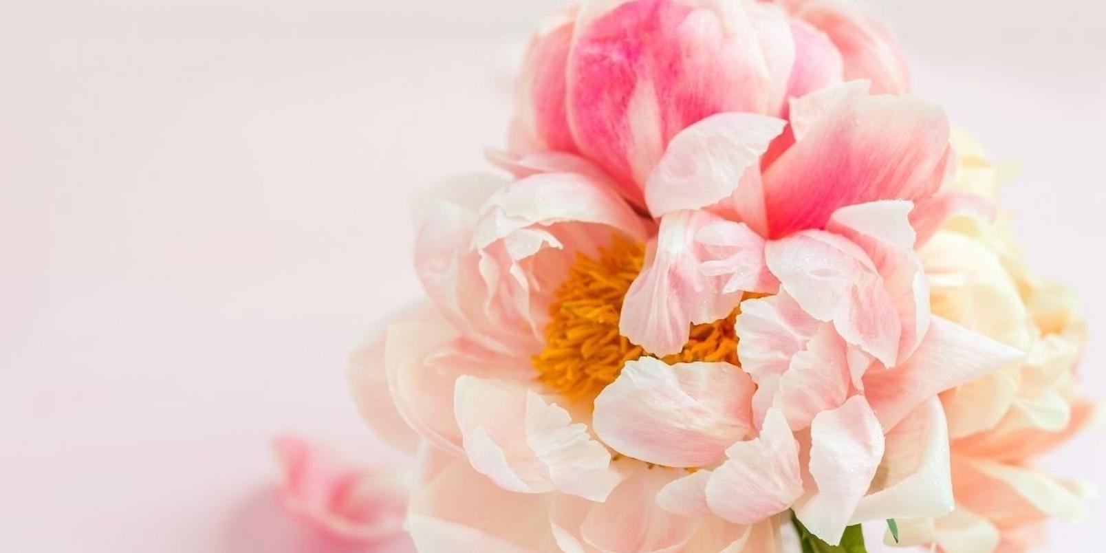 how-to-make-peonies-last-longer-3