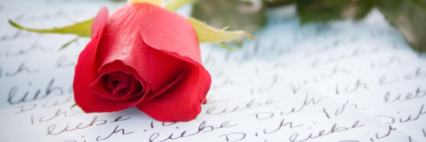 28 Best Valentine's Day Quotes & Card Messages | Interflora 28 Best Valentine's Day Quotes & Card Messages | Interflora