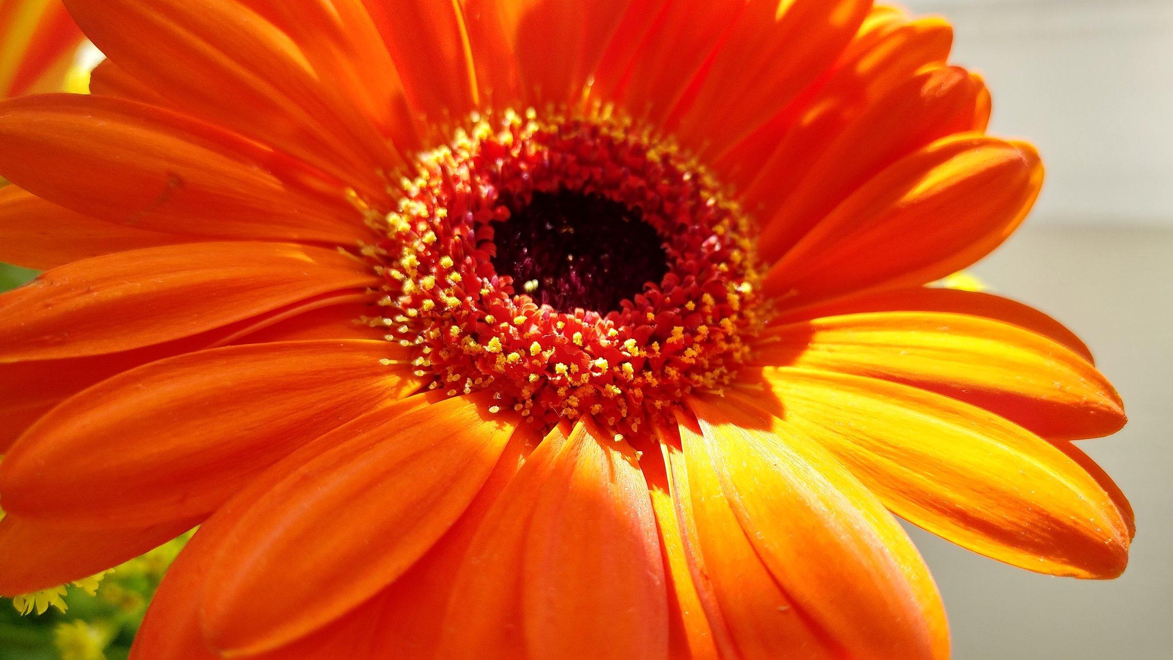 iStock-837519864 (1)