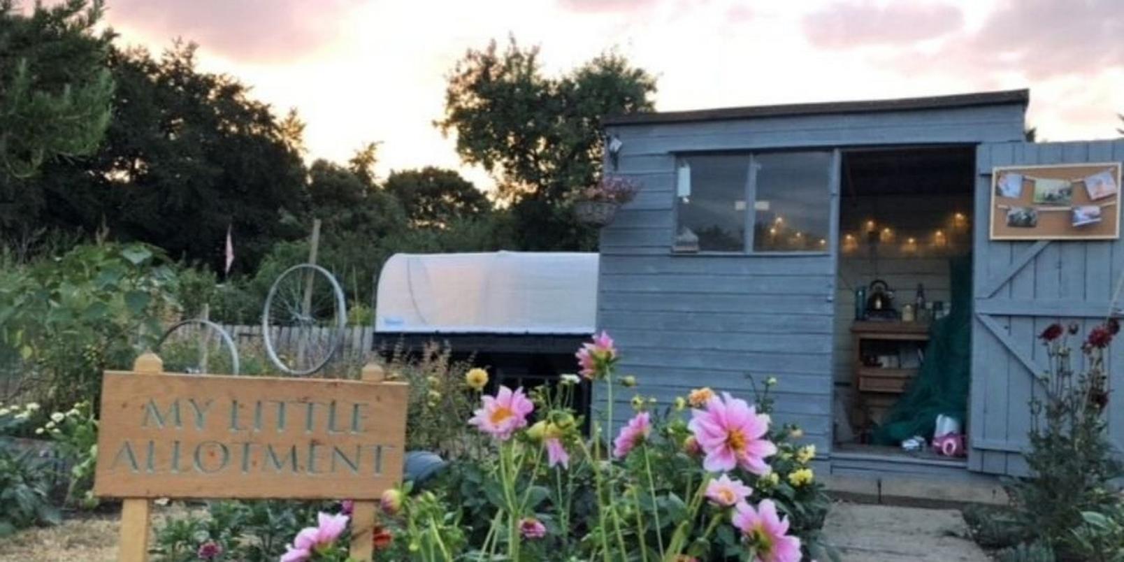 mindfloral-gardening-therapy-kirsty-ward-3