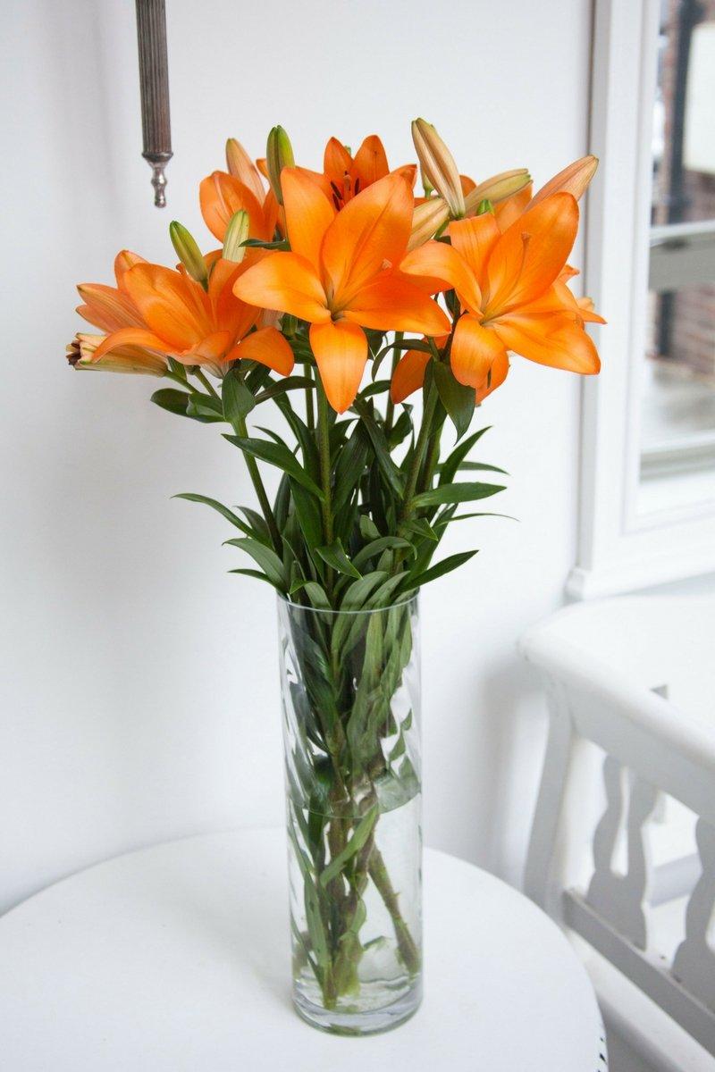 orange-lilies-in-a-vase