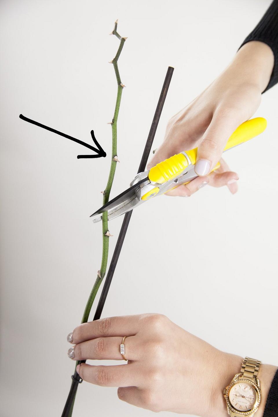 orchid-stem-prune-scissors