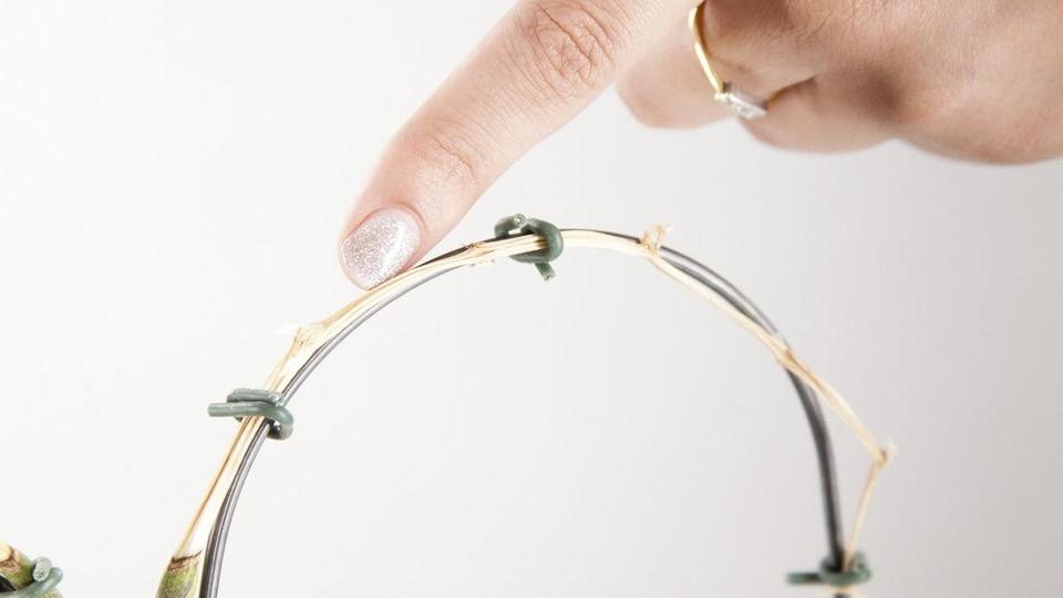 orchid-wilted-broken