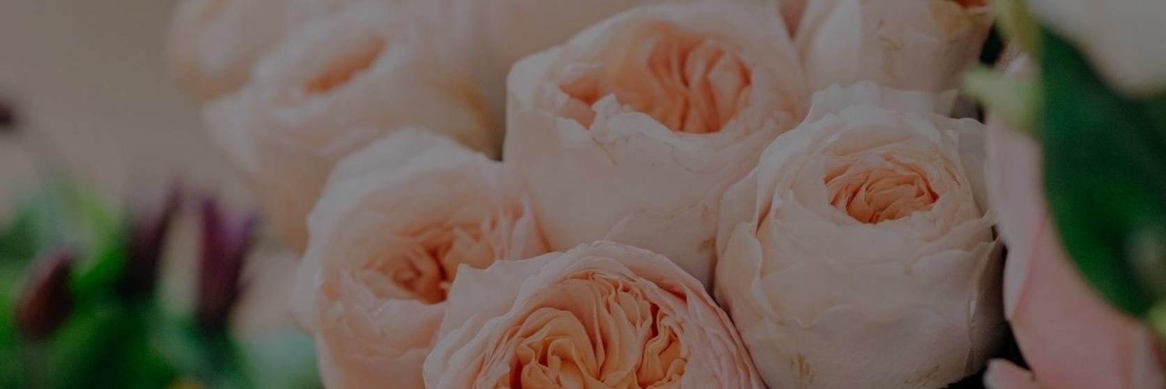 peach_peonies