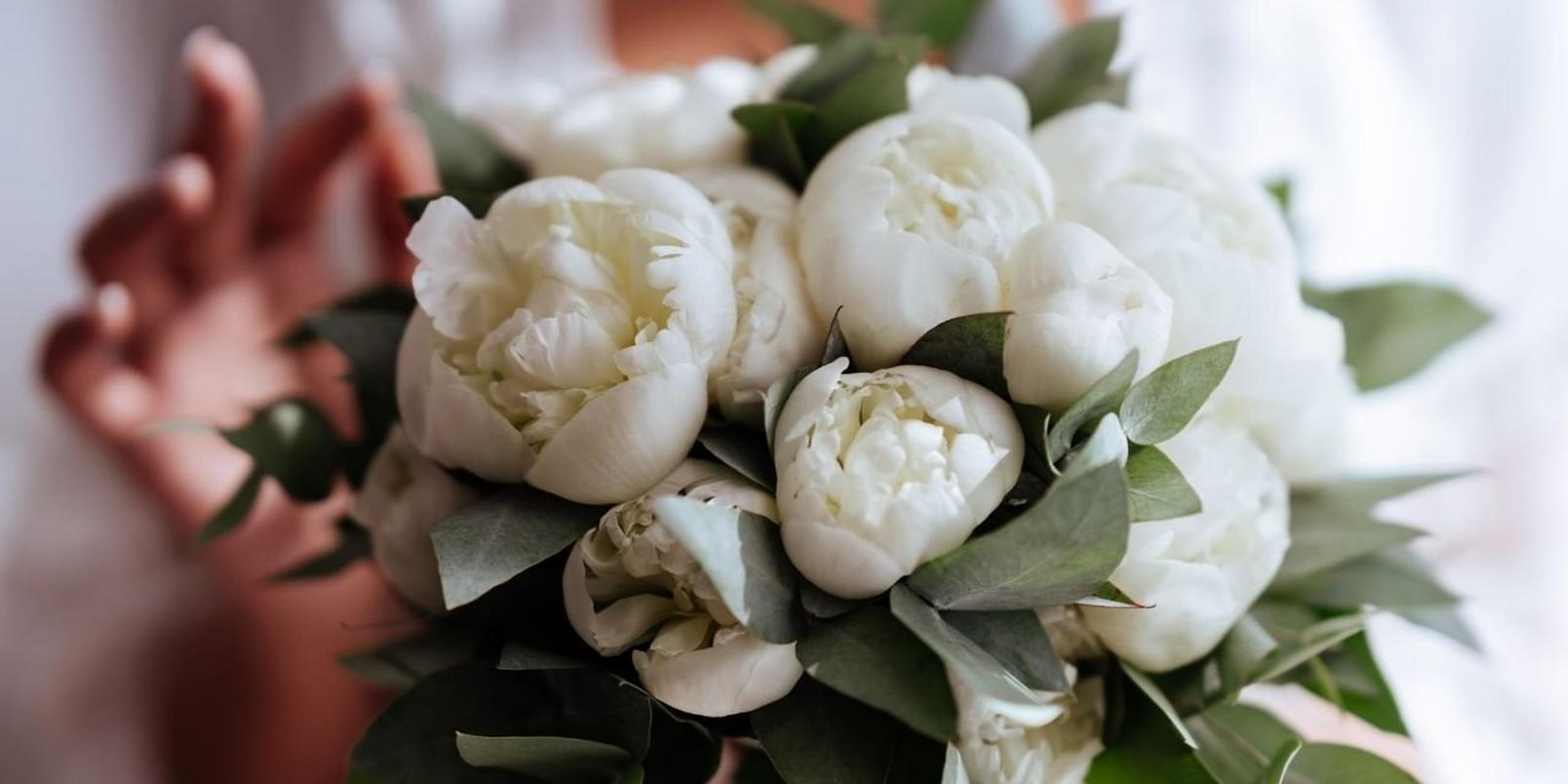 peonies-facts-that-may-surprise-you-2