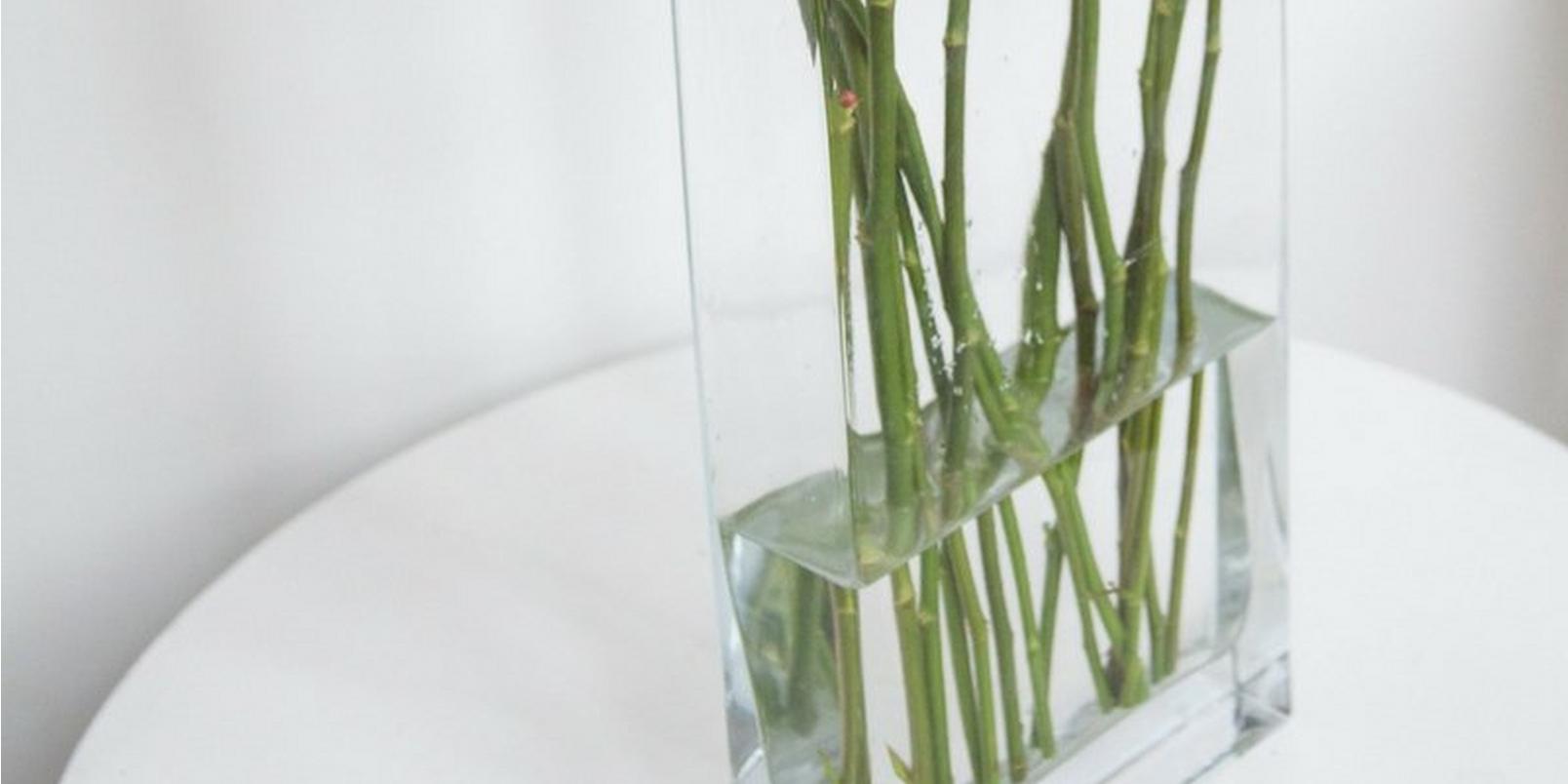 pink-roses-in-a-vase