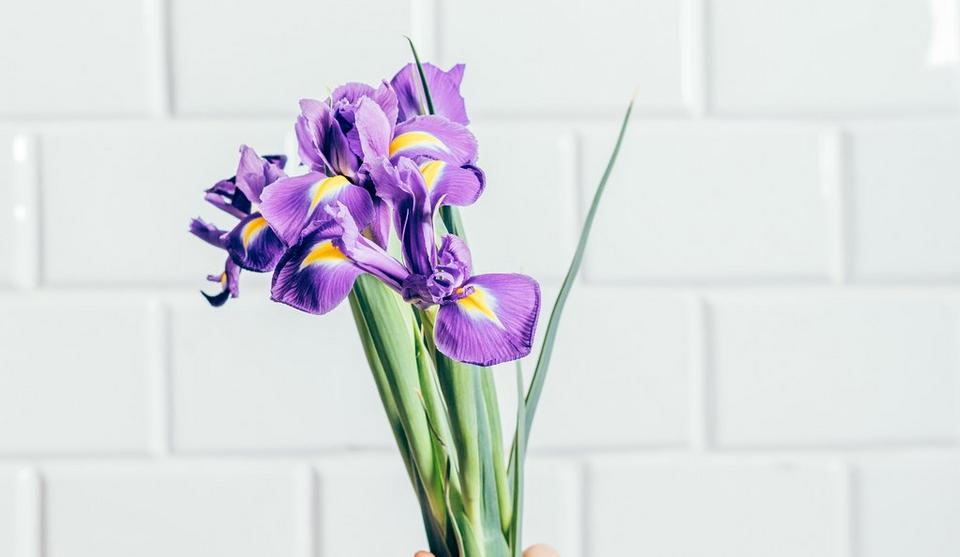 elegant iris bouquet
