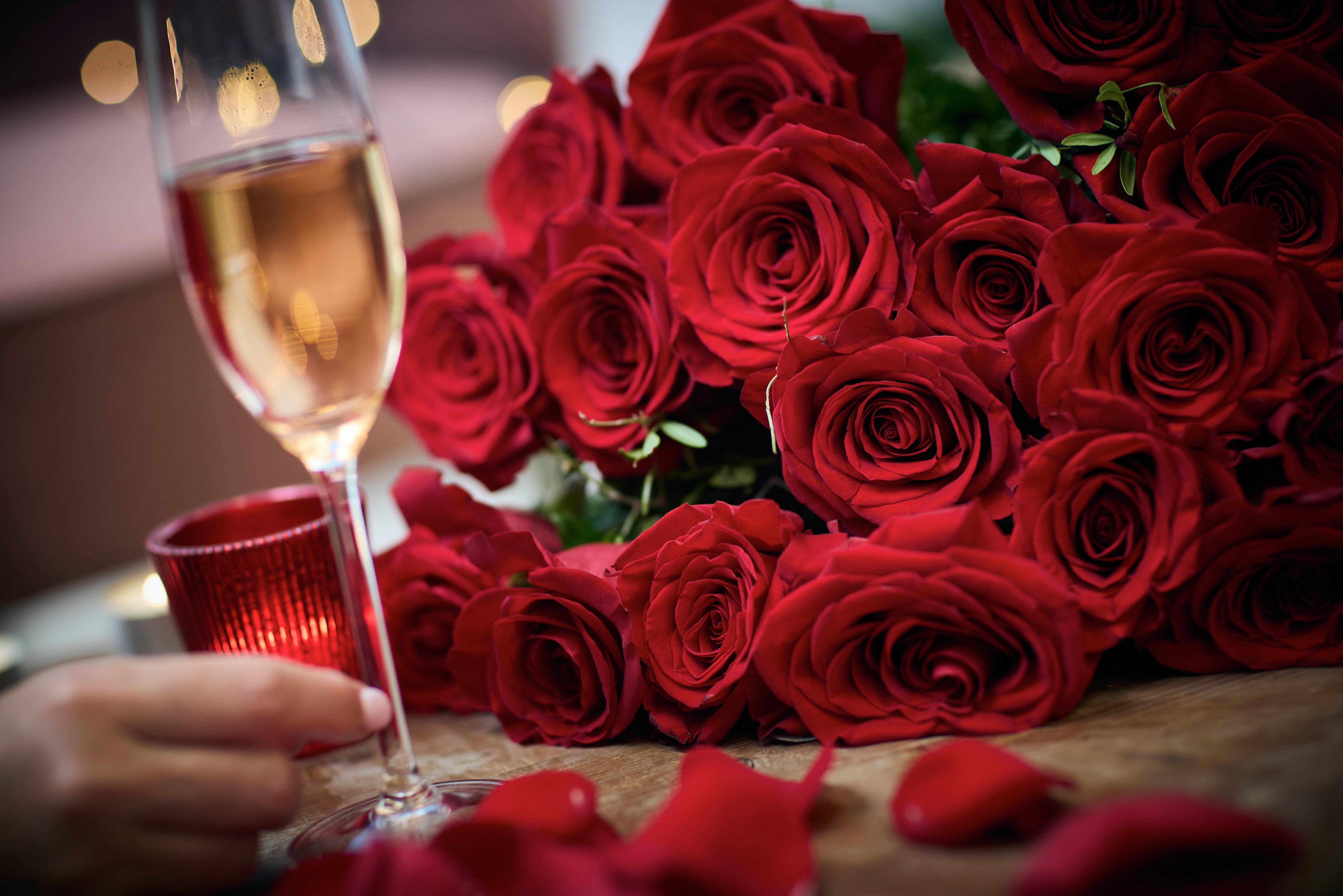 red_rose_content_imagery (29)