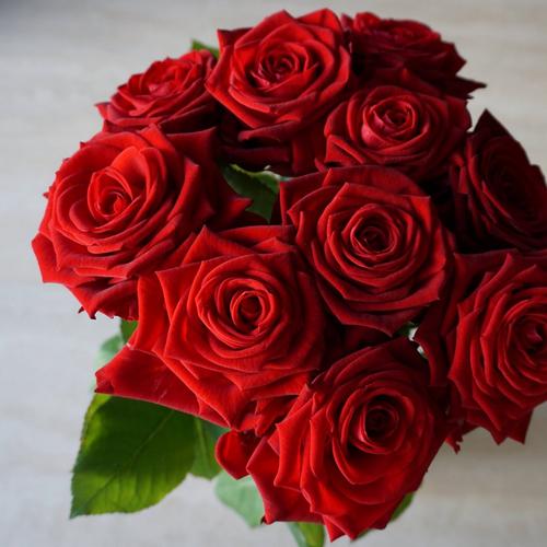 roses-red-flower-bouquet