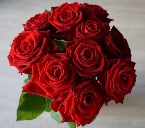 roses-red-flower-bouquet