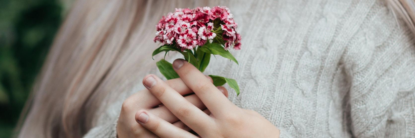small-sweet-william