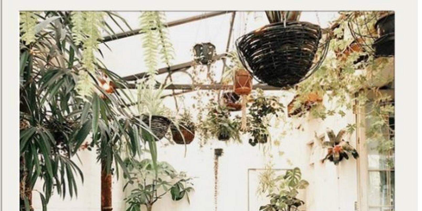 top-8-instagrammable-places-uk-love-flowers 1
