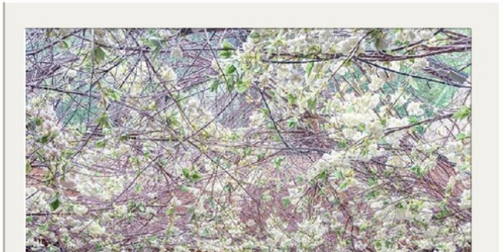 top-8-instagrammable-places-uk-love-flowers 2