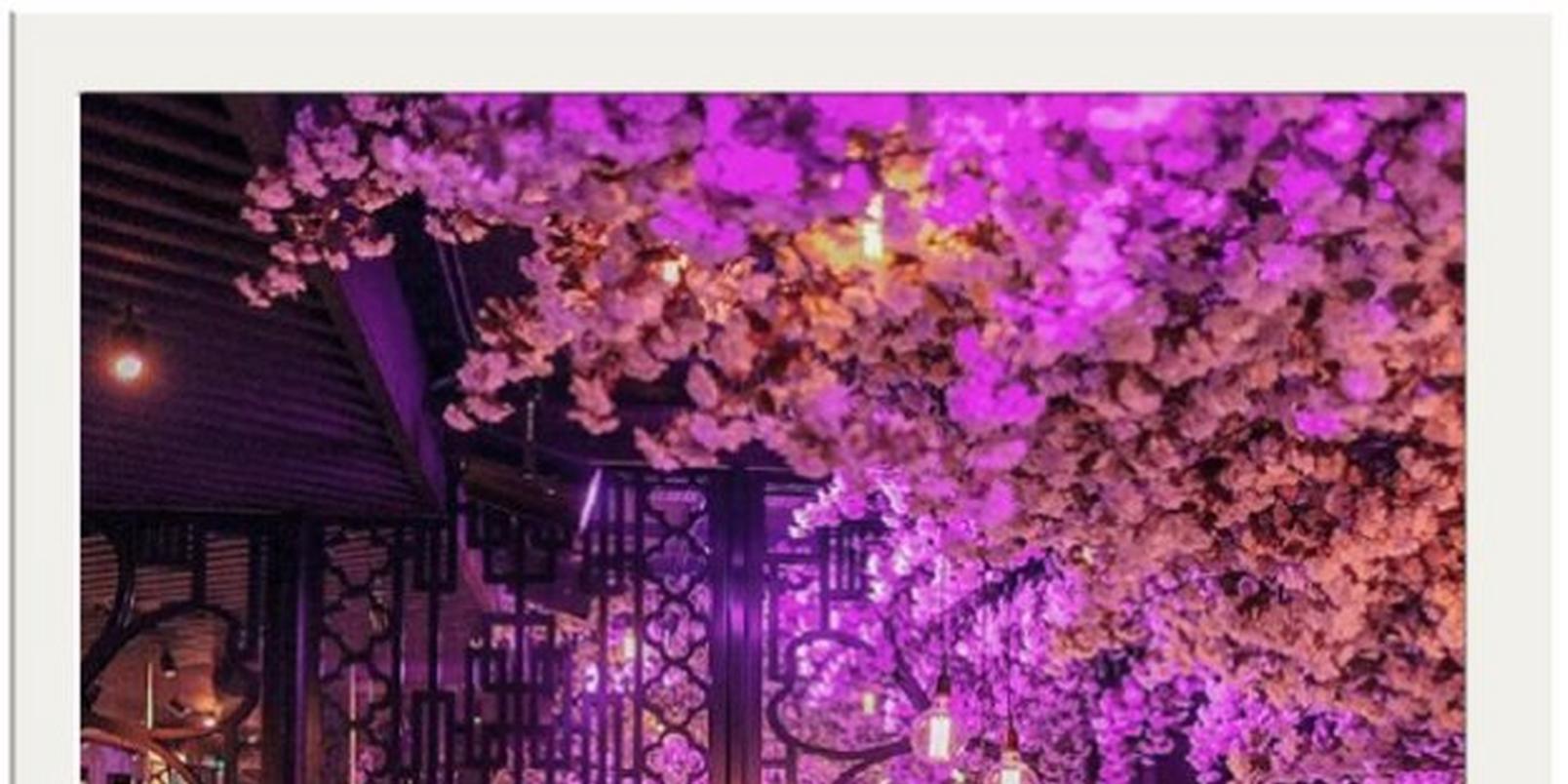top-8-instagrammable-places-uk-love-flowers 3