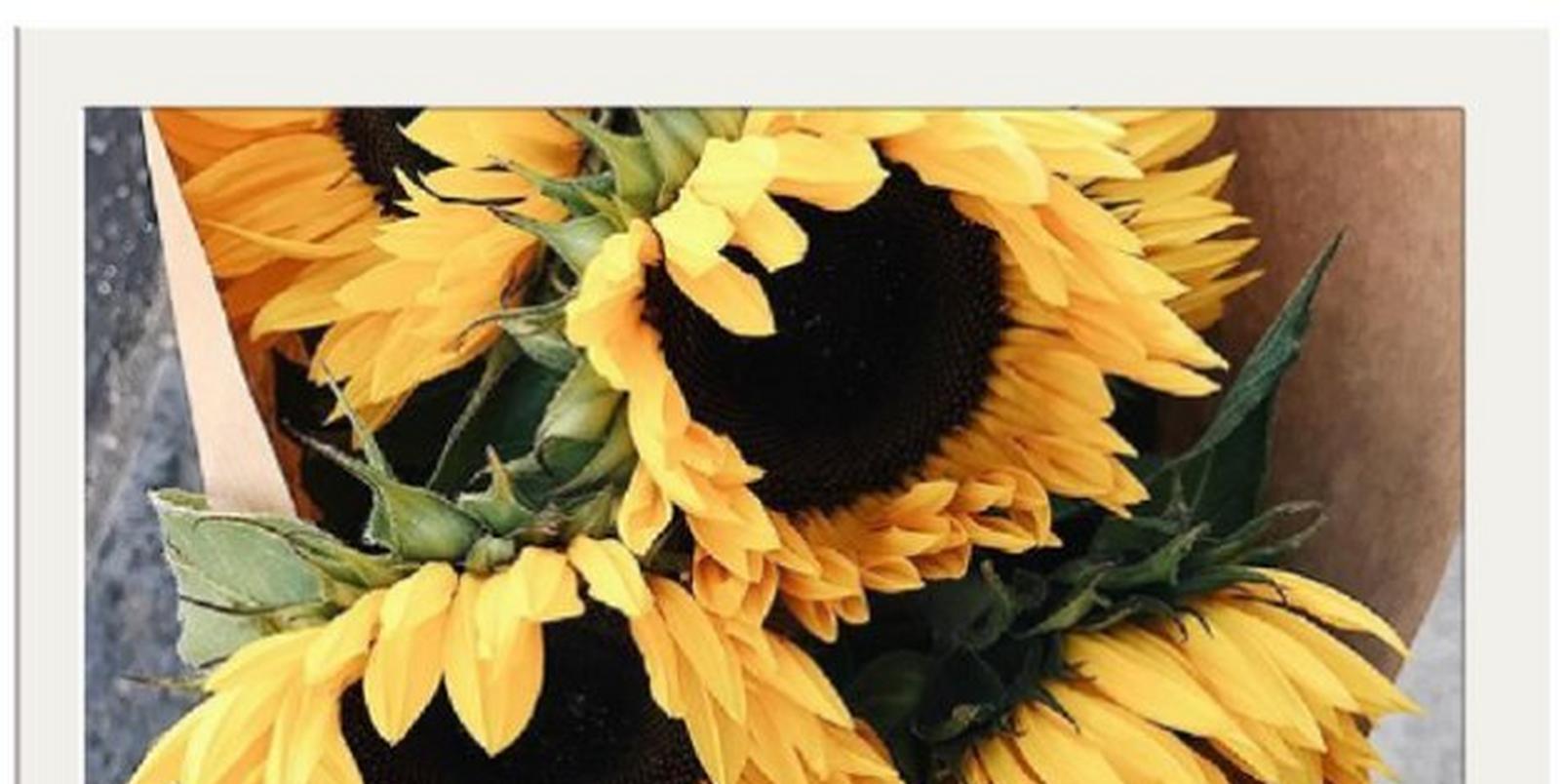 top-8-instagrammable-places-uk-love-flowers 5